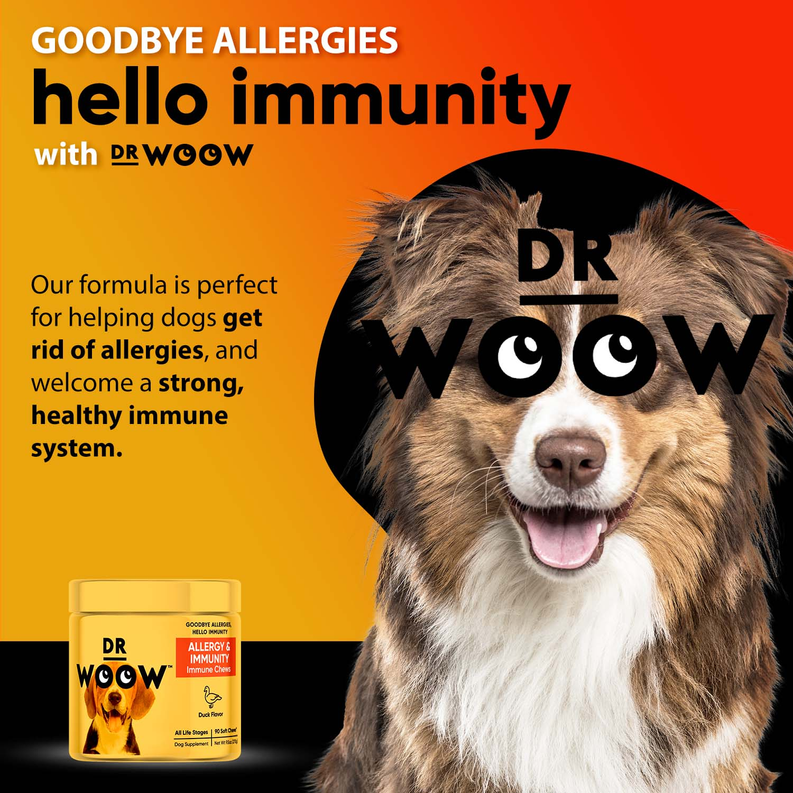 Dr Woow Allergy and Immunity Soft Chews